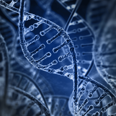 MOBILE DNA SERVICE